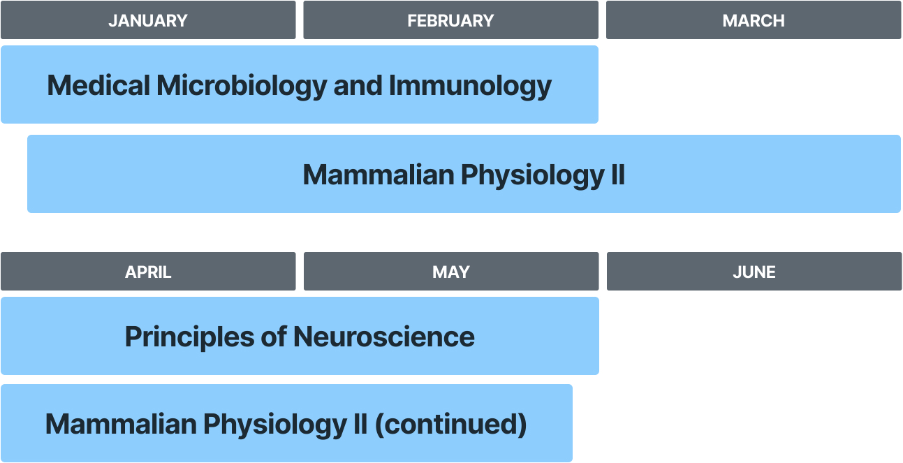 Accelerated iBMS curriculum overview schedule from January-June