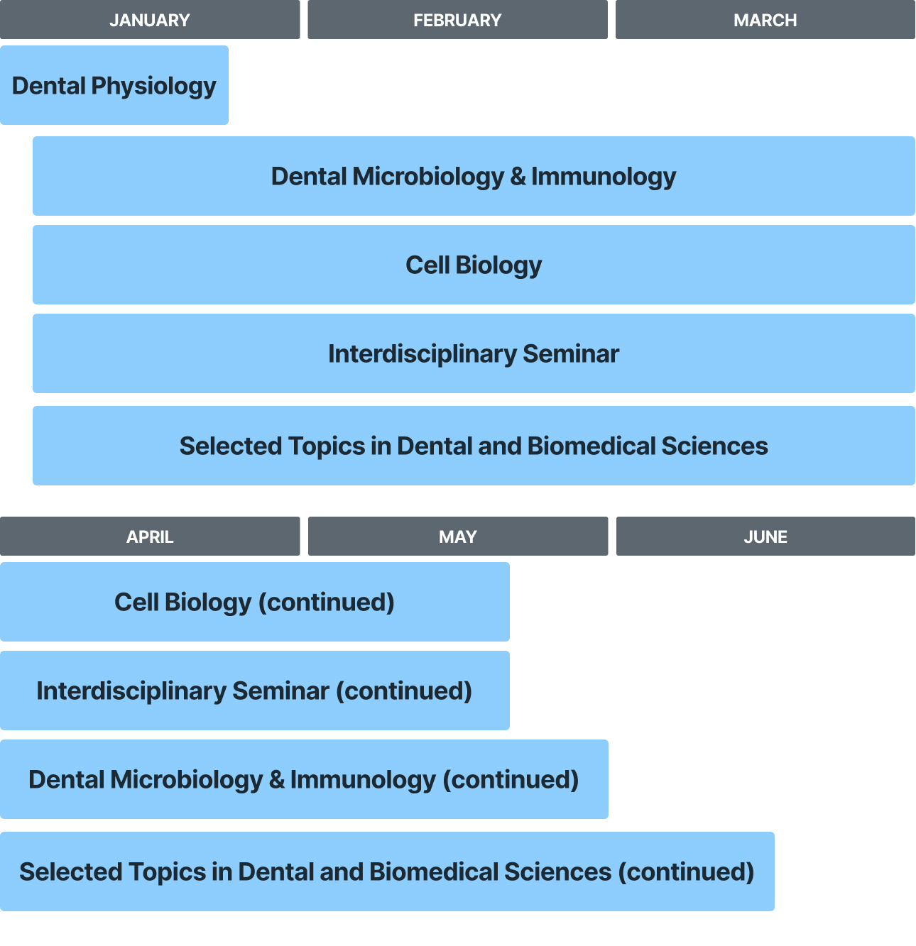 Dental linker curriculum overview schedule from Jan-June