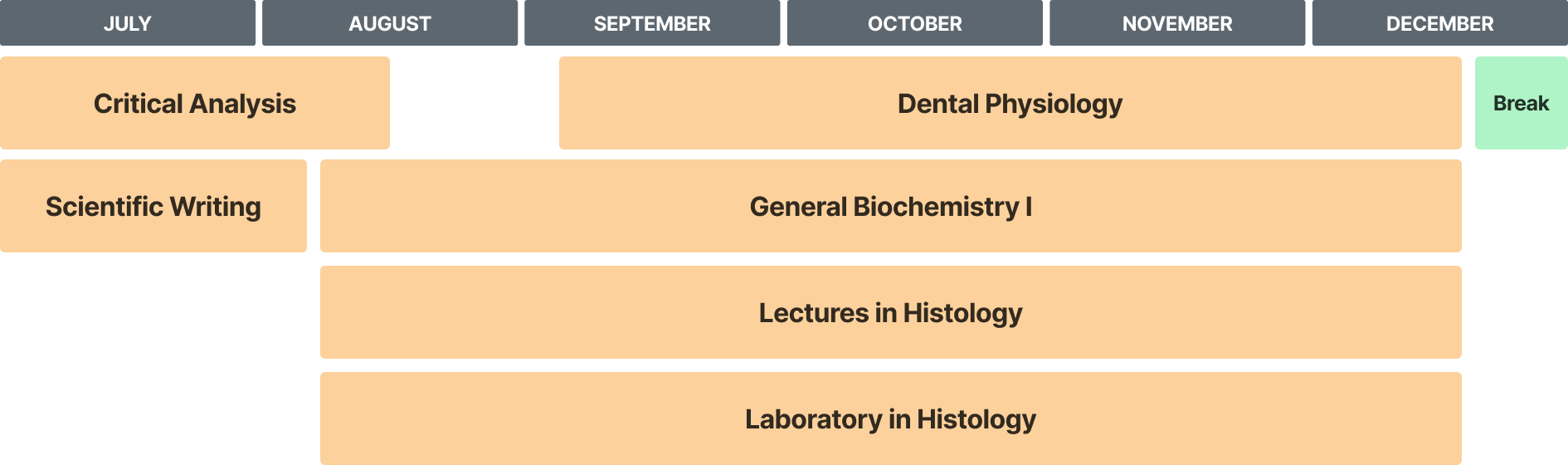 Dental linker curriculum overview schedule from July-December