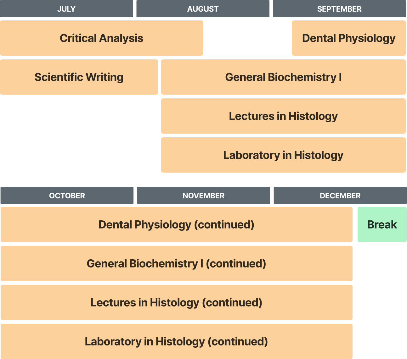 Dental linker curriculum overview schedule from July-December