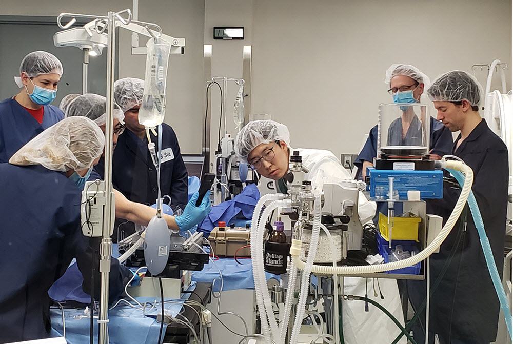 Large medical team working with the alternate form of ventilation