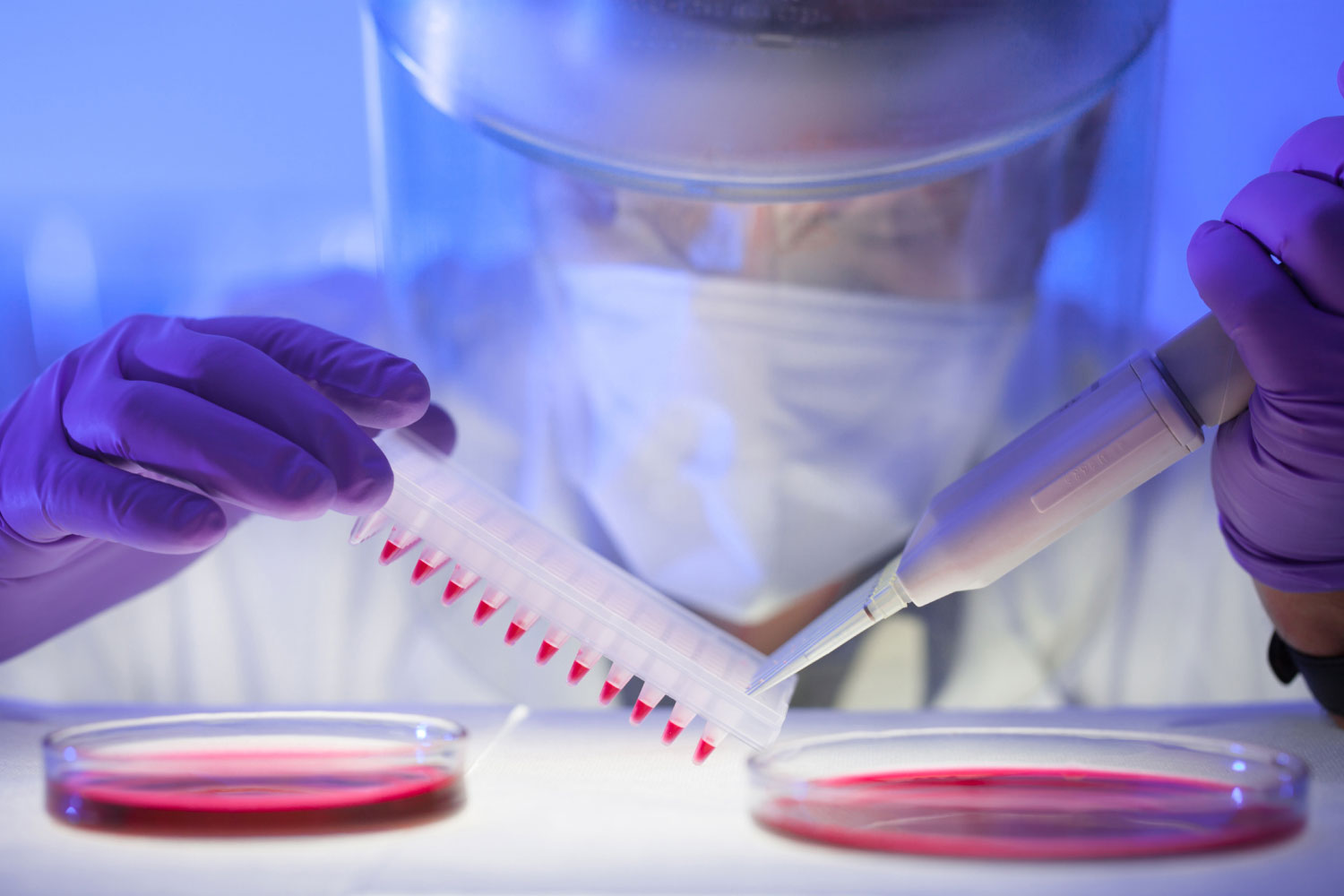 Researcher working with samples