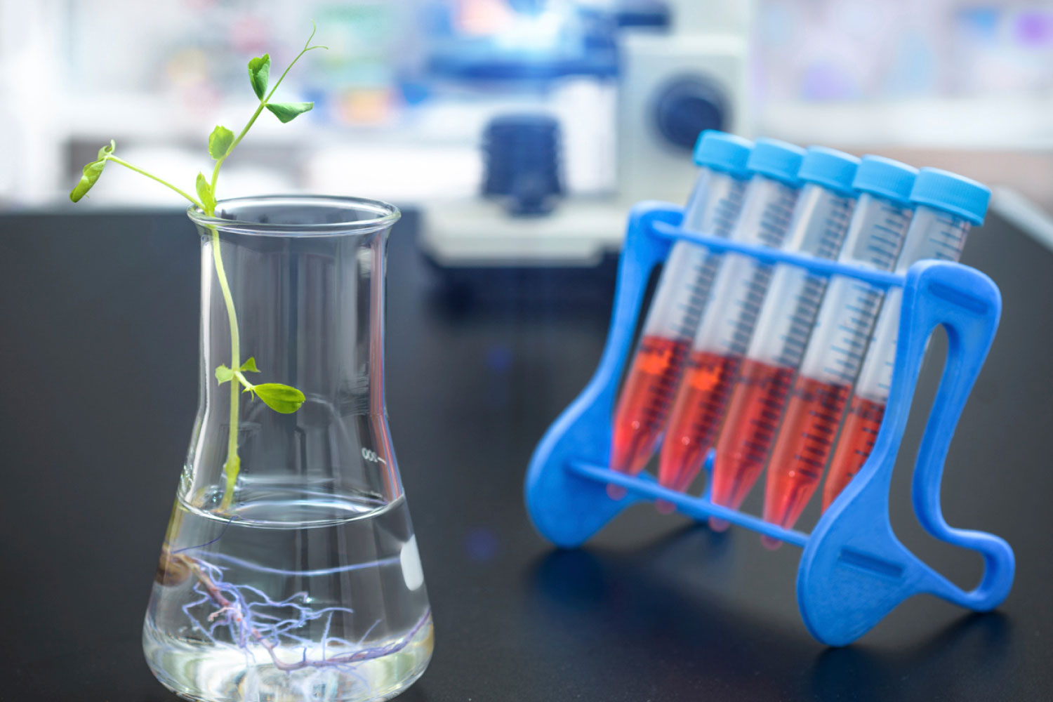 Samples in tubes next to beaker with plant in it