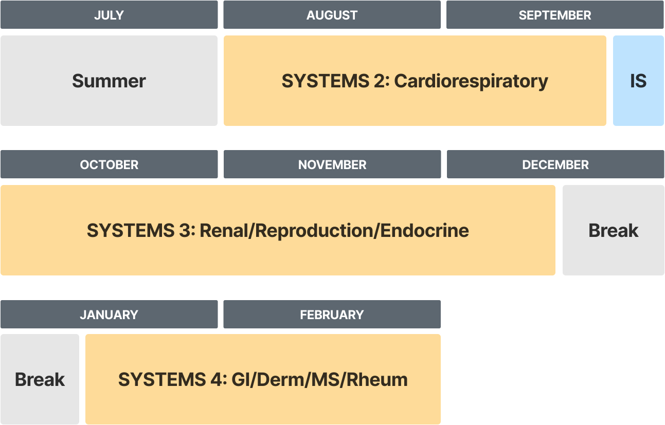 A sample schedule outlining phase 1, year 2 of the M.D. program curriculum. This phase runs from July through February.